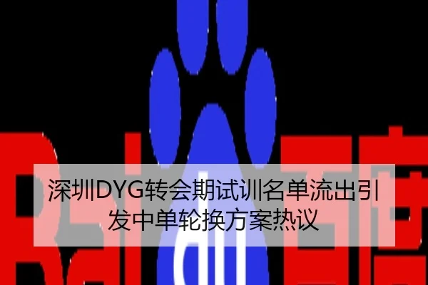 深圳DYG转会期试训名单流出引发中单轮换方案热议